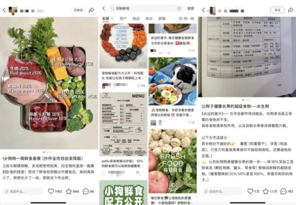 蔚莱策略 当宠物吃上39.9元的便当：鲜食成新“风口” 已有品牌开启0元加盟